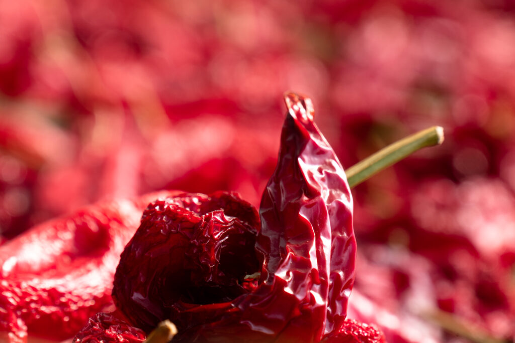 Come Si Cucina Il Peperone Crusco Masseria Agricola Buongiorno Produzione Del Peperone Di